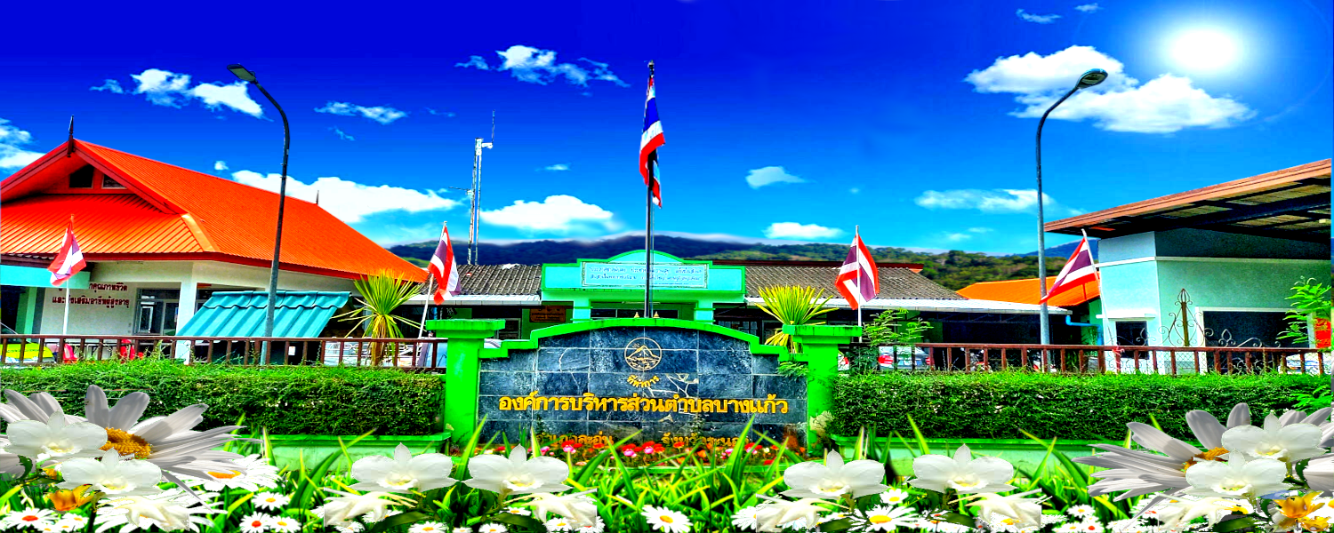 พื้นหลัง